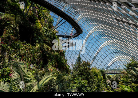 October 02, 2018: Cloud Forest, botanic garden with the highest artificial waterfall in the world. Gardens by the Bay. Singapore Stock Photo