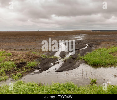 Heavy rains and storms in the Midwest have caused flooding of farm fields and water runoff has lead to soil erosion and drainage issues Stock Photo