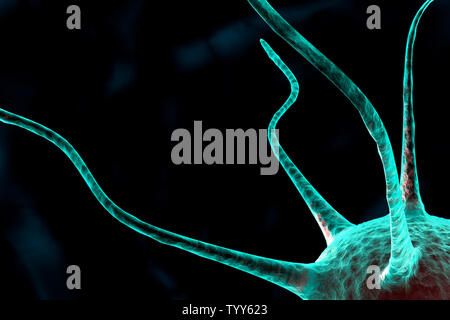 3d gymcell Stock Photo