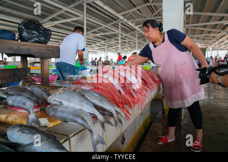 KOTA KINABALU BORNEO - MAY 31 2019; Workers, vendors and fresh seafood in city's wet or fish market near wharf. Stock Photo