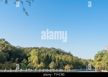 Autumn China Fushun early morning park river bank willow stone bridge cruise ship Stock Photo