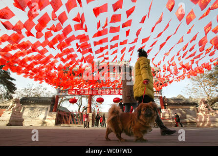 Chinese New Year: ushering in the Year of the Dog - NŌBL