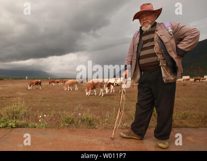 An old Chinese man herds a bunch of cows in the fields outside of Lijiang, northern Yunnan Province, on October 1, 2012.  Income inequality continues to grow in China as rural poverty persists despite rapid urban growth.  China raised the poverty line to $1 per person per day in 2011, increasing the country's poverty-stricken population from 26.99 million to 128 million.      UPI/Stephen Shaver Stock Photo