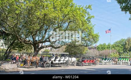 A series of horse drawn carriages sit along a park outlined with oak trees in New Orleans, Louisiana Stock Photo