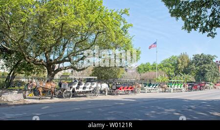 A series of horse drawn carriages sit along a park outlined with oak trees in New Orleans, Louisiana Stock Photo