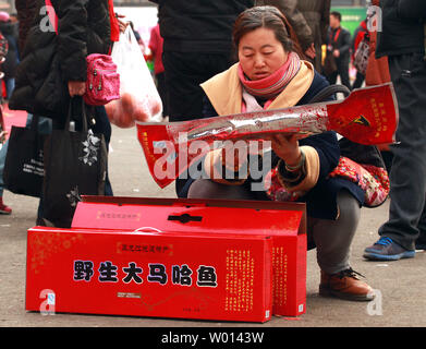 Big family celebrating Chinese New Year Stock Photo - Alamy