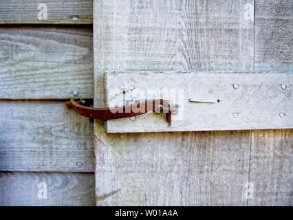 A rusted handmade latch keeps a gate closed on a weathered wooden fence Stock Photo