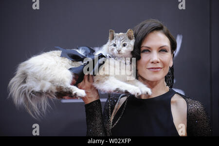 Stacy Haiduk attends the 36th Annual Daytime Emmy .Awards in Los Angeles on August 30, 2009.      UPI/ Phil McCarten Stock Photo