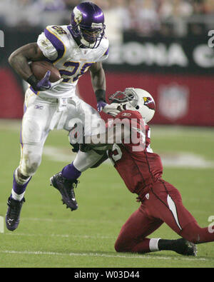 Minnesota Vikings running back Adrian Peterson stretches before the Vikings-Arizona  Cardinals game at University of Phoenix Stadium in Glendale, Arizona,  December 10, 2015. Photo by Art Foxall/UPI Stock Photo - Alamy