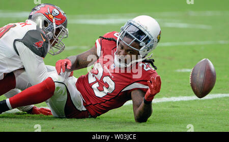 Arizona Cardinals running back Chris Johnson (R) picks up a first down in  the second quarter of the Cardinals-San Francisco 49ers game at University  of Phoenix Stadium in Glendale, Arizona, September 27