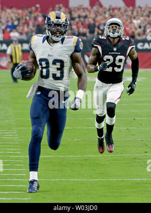 Arizona Cardinals wide receiver Brian Cobbs makes a catch during NFL ...