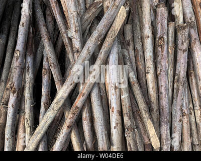 Wooden pile texture in construction site Stock Photo