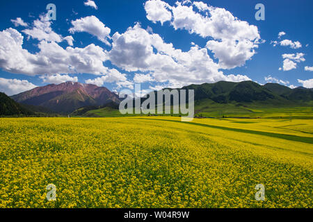 Photographed in Qilian County, Qinghai Province Stock Photo