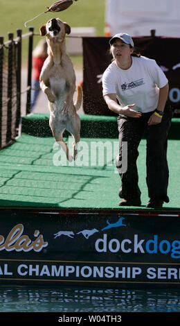 Andrea Yankovsky of La Jolla, CA. and her dog Haley, a yellow lab, jumps for distance, nearly 10 feet during a US Dog Agility Association agility competition in Scottsdale, Arizona on November 12, 2005.      (UPI Photo/Will Powers) Stock Photo