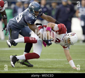 Arizona Cardinals quarterback Derek Anderson (3) hands the ball off ...