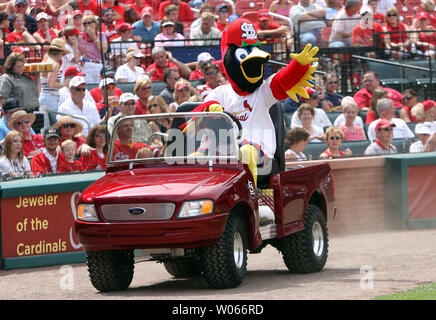 Cardinal mascot hi-res stock photography and images - Alamy