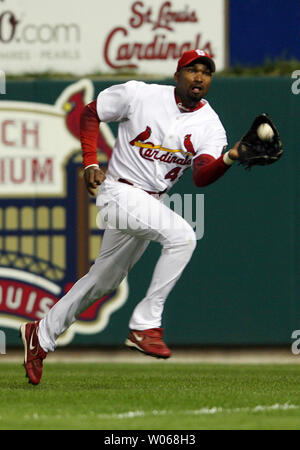 The St. Louis Cardinals' Juan Encarnacion celebrates with his teammates ...