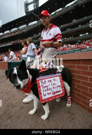 St. Louis Cardinals Dog Tag