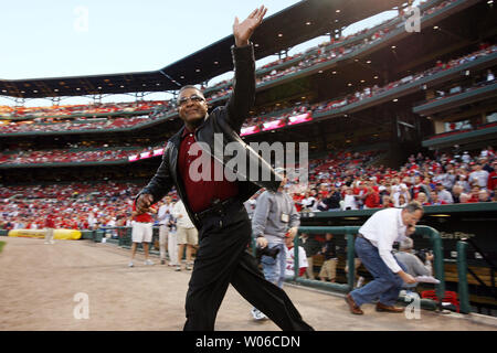 1987 World Series St. Louis Cardinals by Mlb Photos