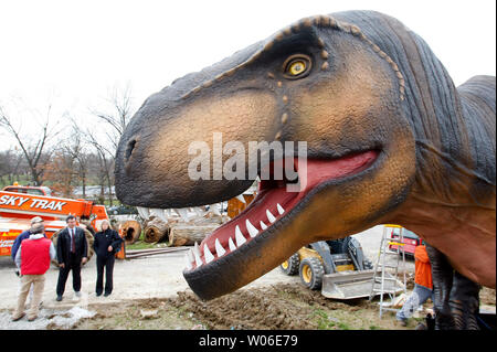 Workers set up one of the dinosaurs for a new display at the St. Louis Zoo on April 1, 2008. Some of the sixteen life-size animatronic dinosaurs that will entertain visitors through September include Tyrannosaurus rex, Triceratops, Dilophosaurus, Stegosaurus, and some baby dinosaurs. (UPI Photo/Bill Greenblatt) Stock Photo