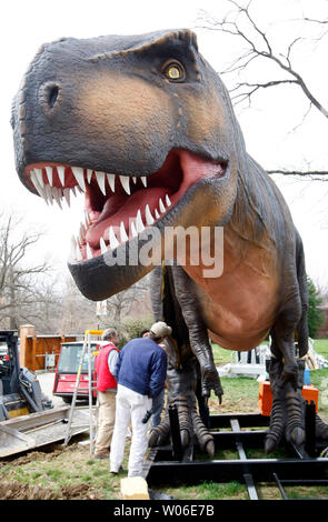 Workers set up one of the dinosaurs for a new display at the St. Louis Zoo on April 1, 2008. Some of the sixteen life-size animatronic dinosaurs that will entertain visitors through September include Tyrannosaurus rex, Triceratops, Dilophosaurus, Stegosaurus, and some baby dinosaurs. (UPI Photo/Bill Greenblatt) Stock Photo