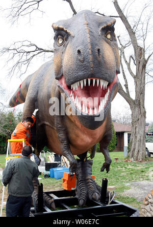 Workers set up one of the dinosaurs for a new display at the St. Louis Zoo on April 1, 2008. Some of the sixteen life-size animatronic dinosaurs that will entertain visitors through September include Tyrannosaurus rex, Triceratops, Dilophosaurus, Stegosaurus, and some baby dinosaurs. (UPI Photo/Bill Greenblatt) Stock Photo