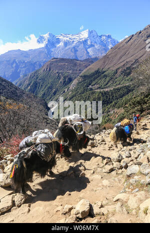 Everest Base Camp Trek, Sagarmatha National Park, Nepal Stock Photo