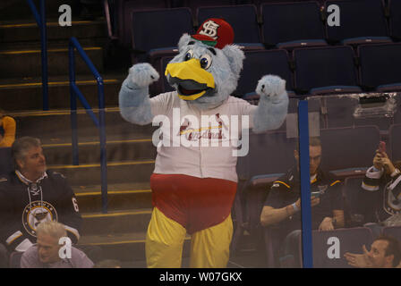 Anaheim ducks mascot hi-res stock photography and images - Alamy