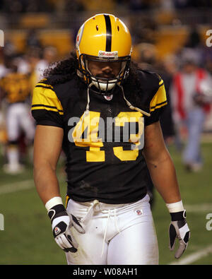 Pittsburgh Steelers strong safety Troy Polamalu (43) watches the replay on  his recovery of a Houston Texans fumble in the fourth quarter of the  Steelers 30-23 winat Heinz Field in Pittsburgh on October 20, 2014.  UPI/Archie Carpenter Stock Photo - Alamy