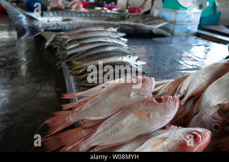 fresh seafood in city's wet or fish market near wharf. Stock Photo