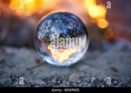 Upside down view through the lensball on blurred campfire in forest Stock Photo