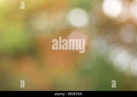Abstract background. Light bokeh photographed through the crown of autumn trees.