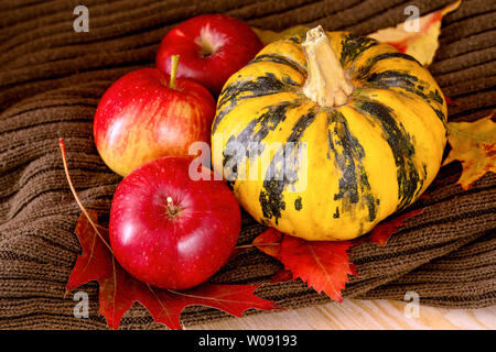 Autumn concept. Yellow ornamental pumpkin, three red apples and colorful leaves on dark green sweater. Stock Photo