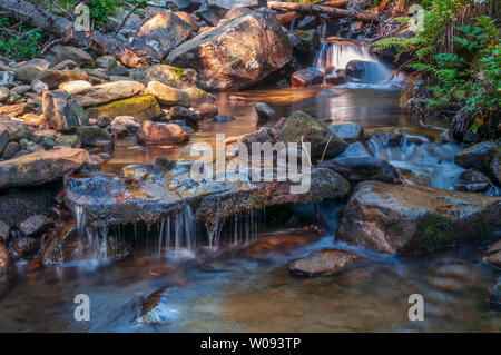 Clear mountain creek deep in the forest. Carpathian mountains, Ukraine Stock Photo