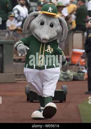 Oakland Athletics mascot Thumper struts around the field before the A's 4-2  loss to the Texas Rangers at the Coliseum in Oakland, California on August  22, 2018. Photo by Terry Schmitt/UPI Stock