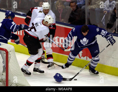New York Rangers (6) Darius Kasparaitis chases Toronto Maple Leafs (28) Tie  Domi for the puck in the first period at Madison Square Garden in New York  City on March 18, 2006. (UPI Photo/John Angelillo Stock Photo - Alamy