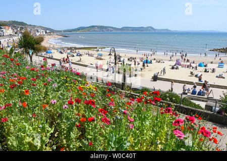 Lyme Regis, Dorset, UK.  27th June 2019. UK Weather.  View from Jane Austen Gardens at the seaside resort of Lyme Regis in Dorset as sunbathers on the beach enjoy a day of clear blue skies and scorching sunshine.   Picture Credit: Graham Hunt/Alamy Live News Stock Photo