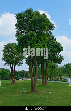 Scenery of Songjiang Moon Lake Sculpture Park in Shanghai Stock Photo