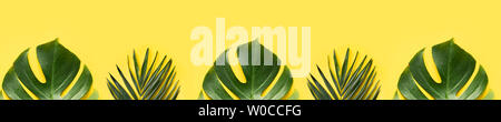 Banner leaves of palm and monstera as border on yellow background. Copy space. Top view, flat lay. Stock Photo