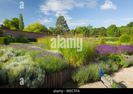 UK Weather: A bright morning at Elsham Gardens and Country Park. Elsham, North Lincolnshire, UK. 21st June 2019. Stock Photo