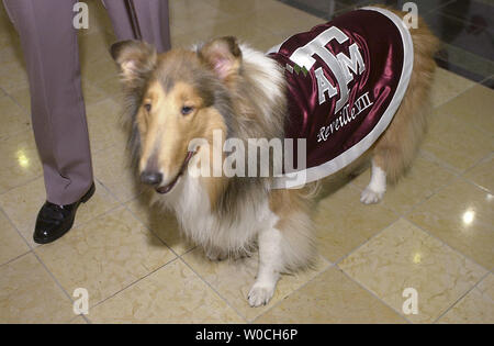 Reveille  Texas A&M University