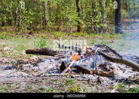 the remains of burnt wood, a burning fire in the forest Stock Photo