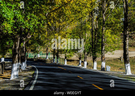 Autumn in western Sichuan, the world of light and shadow of Xindu Bridge
