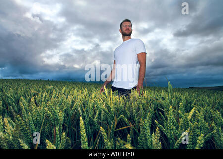Young man in a wheat field Stock Photo