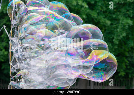 Soap bubbles with colorful reflections on the background of green trees during the children's show. Stock Photo