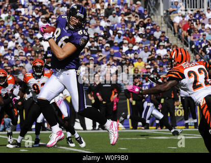 03 August 2010: Baltimore Ravens tight end Todd Heap (86) in action during  Ravens training camp at McDaniel College in Westminster, MDMandatory  Credit: Russell Tracy / Southcreek Global (Credit Image: © Russell