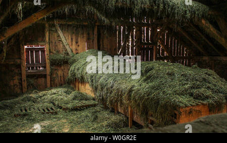 Old barn in pretty dark, mystical light, which is only coming from some chinks between the wood and one little roof window, with spider nets, dust and Stock Photo