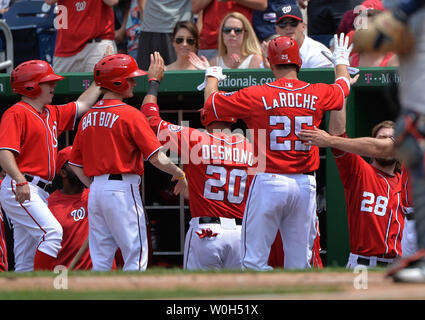 Washington Nationals Adam LaRoche and Ian Desmond are congratulated after scoring off of a Anthony Rendon single in the fourth inning against the Minnesota Twins at Nationals Park in Washington, D.C. on June 9, 2013.  UPI/Kevin Dietsch Stock Photo