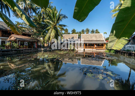 Hotel Resort , Villa Oasis, lagoon with palm trees, Luang Prabang , south east asia Stock Photo