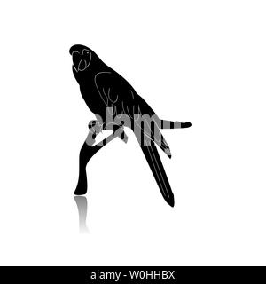 Parrot Bird Silhouette Isolated on White Background Stock Vector
